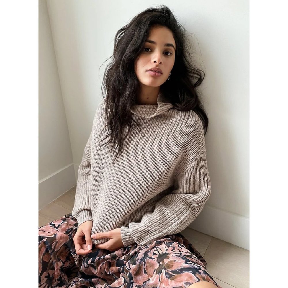 Aritzia Wilfred Montpellier Sweater